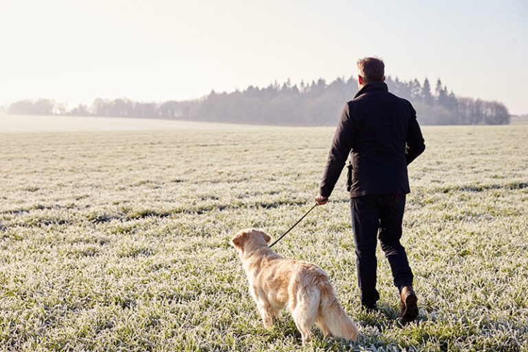 Walk Your Dog Month 2024 The Pantiles Royal Tunbridge Wells